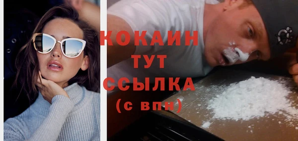 прущие грибы Володарск