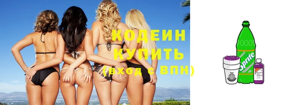шишки Волоколамск