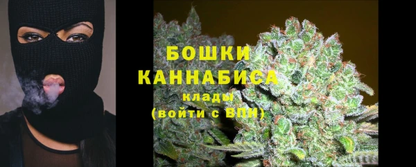 прущие грибы Володарск